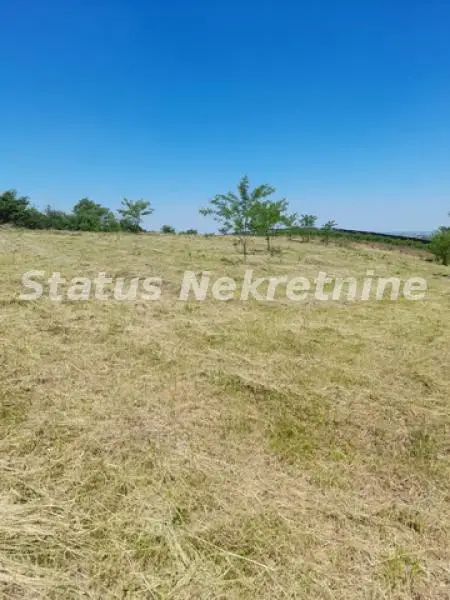 Petrovaradin-Building Plot 6465 m2 on top of Alibegovac for Hotels or Sports facilities-065/385 8880
