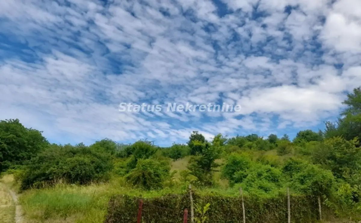 Čortanovci, Large Plot