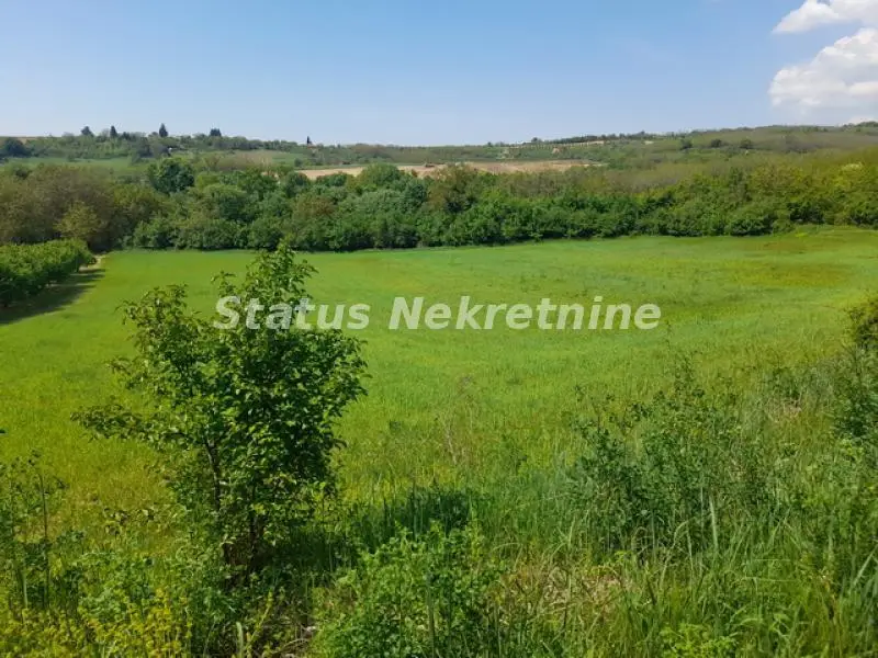 Irig- Fantastic Large Plot 7570 m2 in Krstašica on the Descent from Venac-065/385 8880
