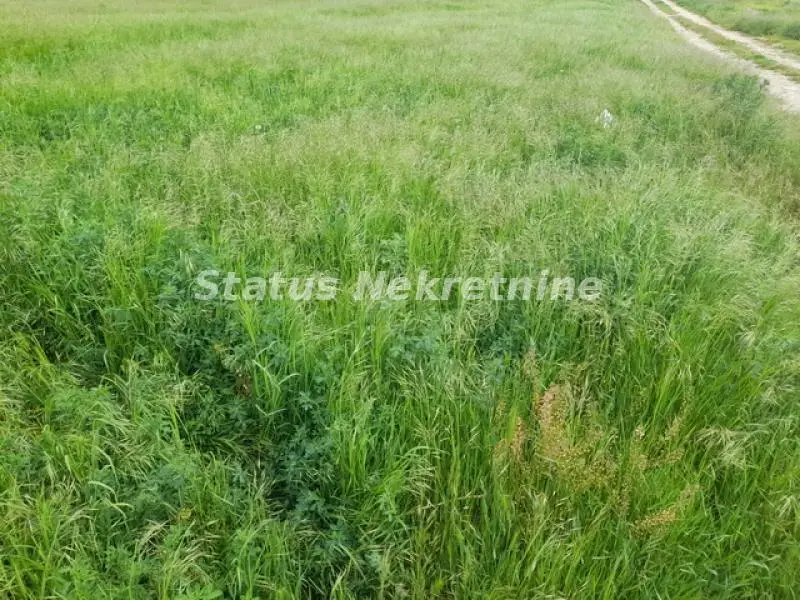 Futog - large construction plot 3381 m2 in a great location closer to Veternik - 065/3858880