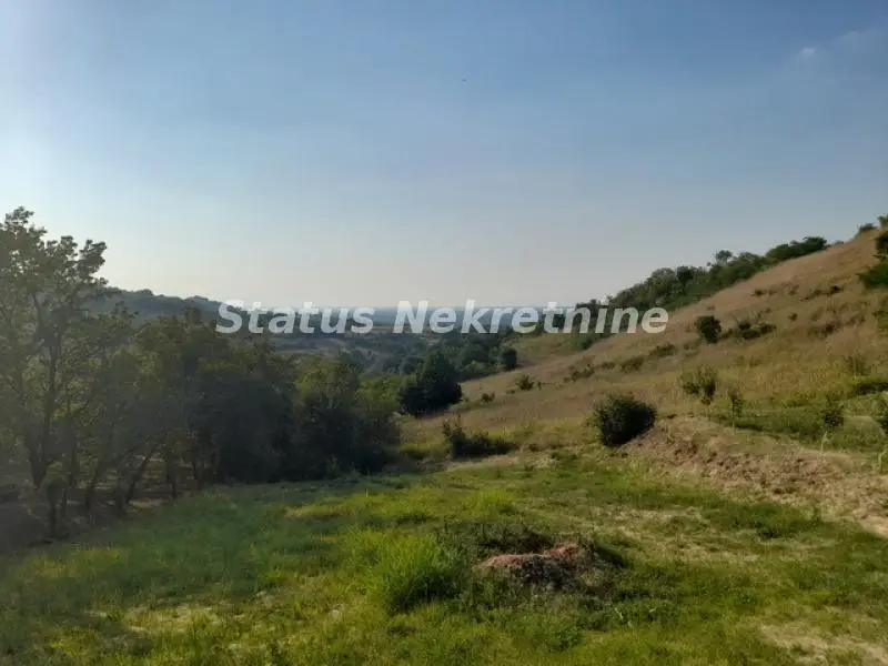 Beočin - Two houses on Fruška Gora on a Plot of 5758 m2 in a green elevated area - 065/385 8880