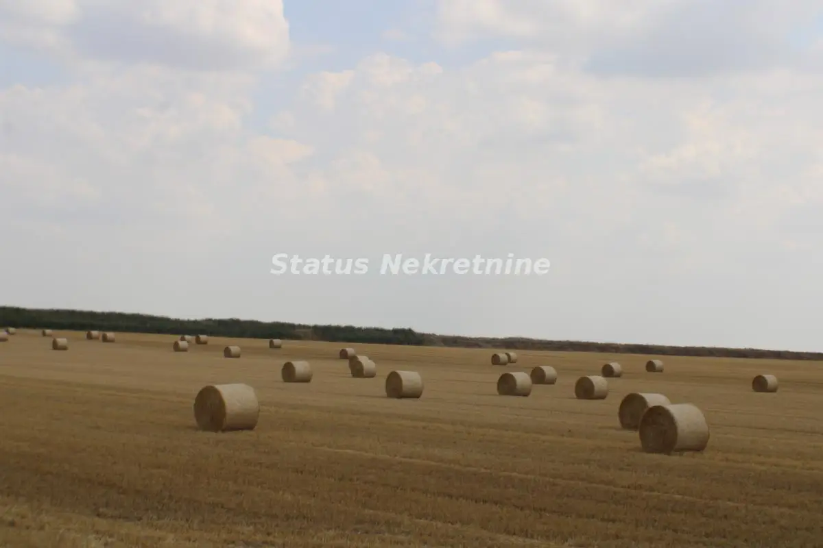 Plac 0m² — Žabalj, Žabalj