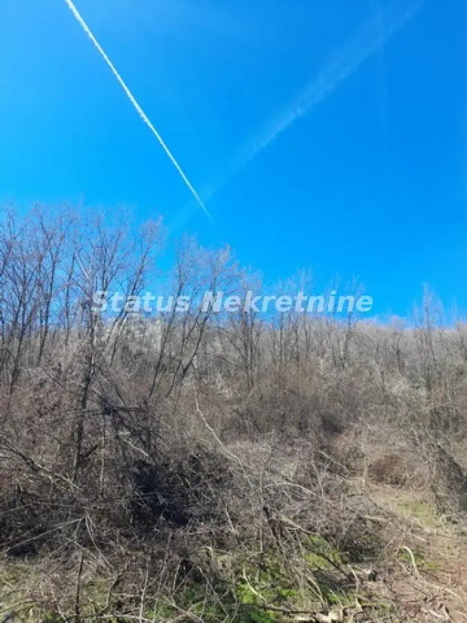 Sremski Karlovci-Fantastic sunny plot 7,025 m2 for vineyard with a view-065/385 8880