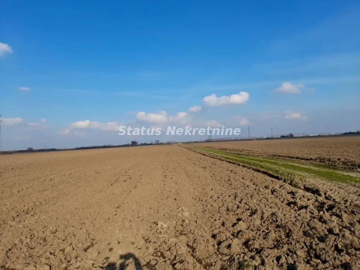 Futog-area Vizić-Agricultural Land 4 acres on the future Main Road Novi Sad-Bačka Palanka-065/385 8880