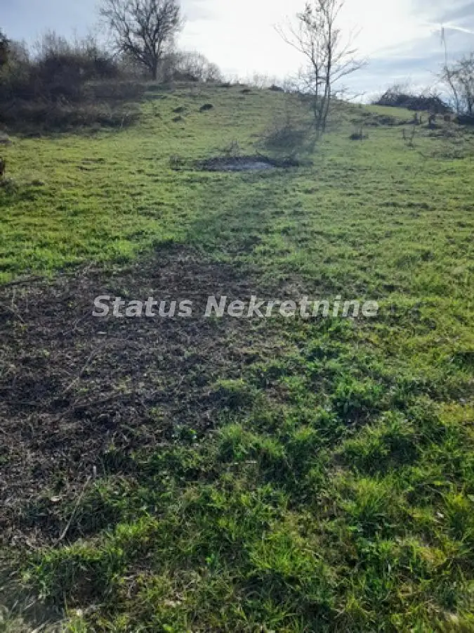Sremska Kamenica - Artiljevo - Favorable Beautiful Plot 1544 m2 on Fruška Gora - 065/385 8880