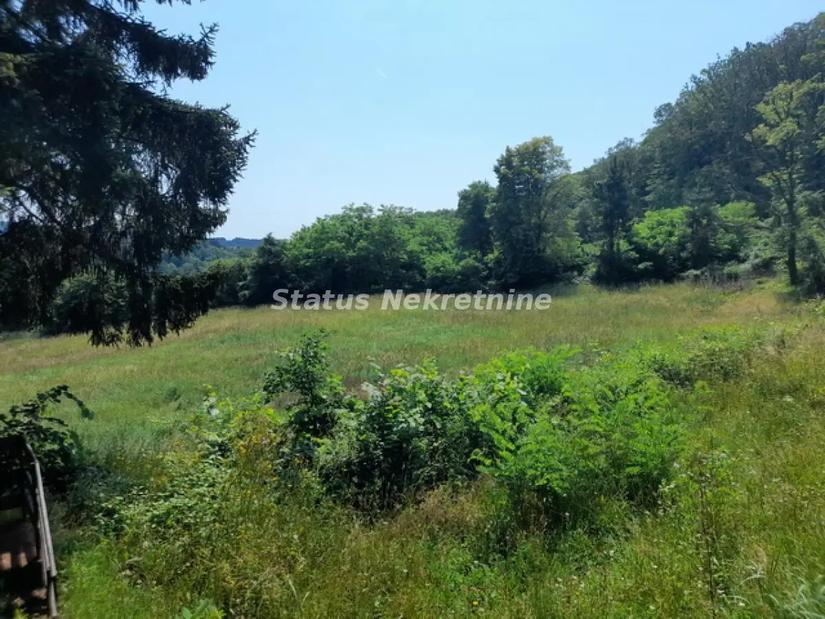 Vrdnik - Large Plot 13568 m2 near *Fruške Terme* suitable for Residential Villas - 065/385 8880
