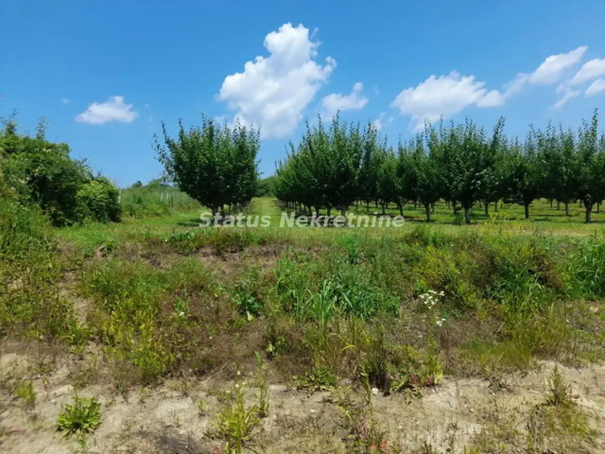 Vrdnik-Fantastic Building Plot 3,000 m2 on a Hill with a View of Pavlovacko Lake for the Select Few-065/385 8880