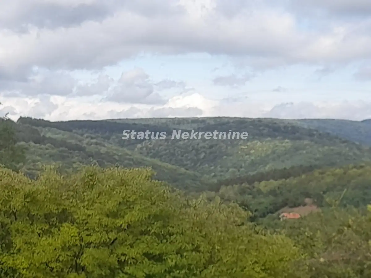 Vrdnik-Jazak-Large Plot 10,800 m2 for Buyers with a Special Lifestyle with a View of Half of Srem-065/385 8880