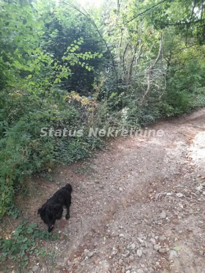 Sremski Karlovci - Stražilovo - Beautiful Plot 770 m2 near the National Park - 065/385 8880