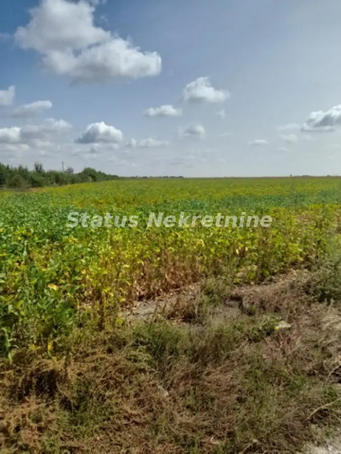 Sremska Mitrovica - Large Parcel 34,150 m2 near Highway for Commercial Activity - 065/385 8880