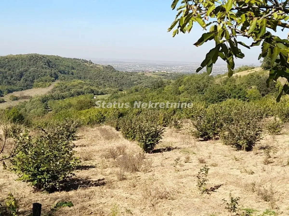 Plot - Ledinci