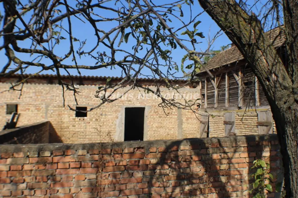 Vicinity of Irig - Farm with Courtyard of 9760 m2 - 065/385 8880