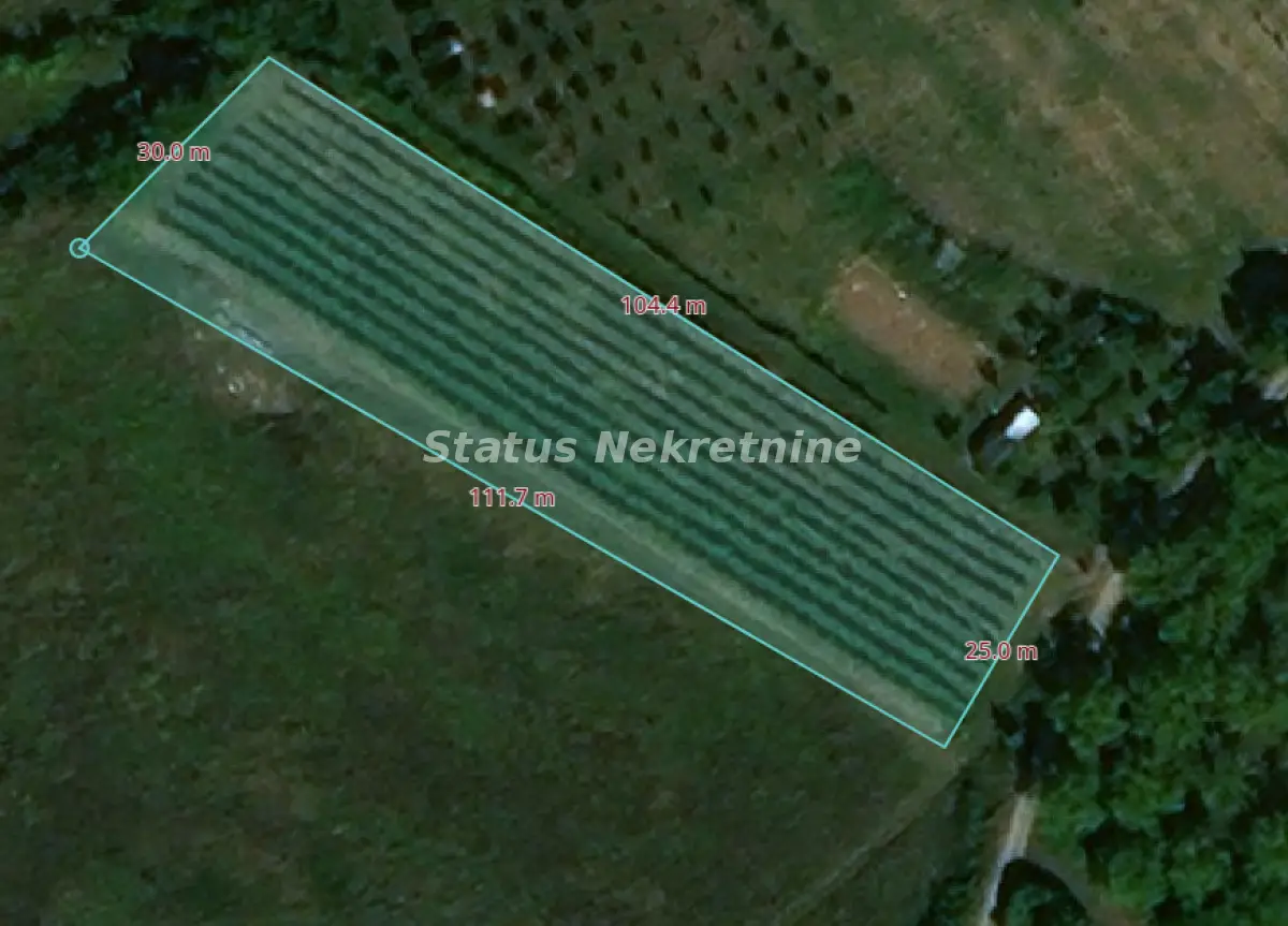 Ledinci -plot- vineyard