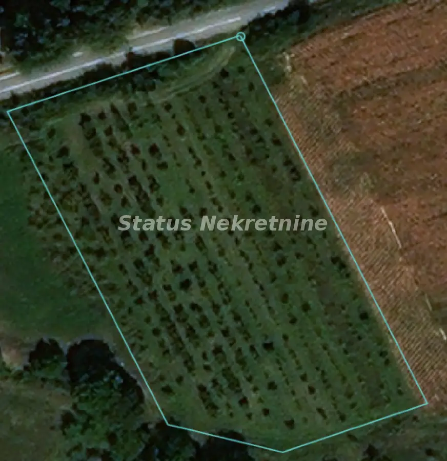 Banstol - plot 50 ares - excellent investment