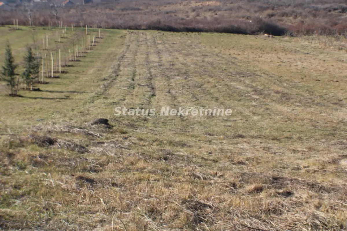 Excellent Plot Vrdnik - Bekatovo with Beautiful View 0653858888