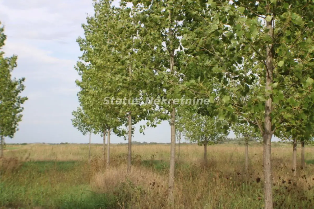 Belo Blato-Very Good and Affordable Investment