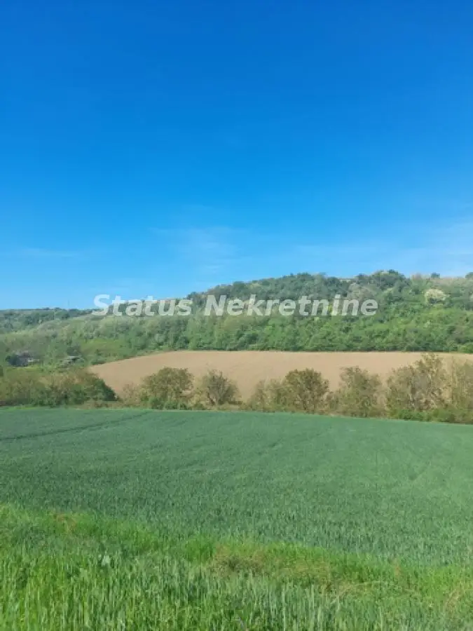 Sremski Karlovci - Large Parcel 14,715 m2 (3820 m2 + 10,900 m2) from Two Adjacent Parcels - 065/385 8880