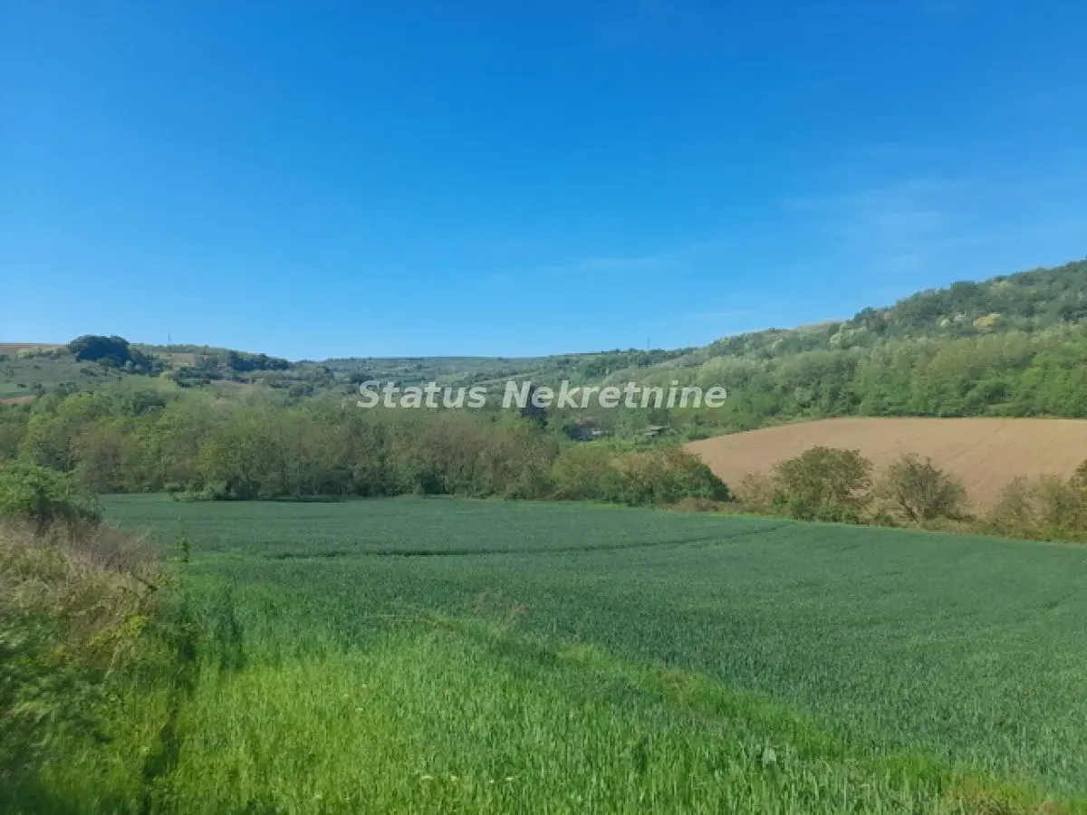 Sremski Karlovci-GREAT DEAL-Fantastic Sunny Plot 3 hectares from 3 parcels with a view for enjoyment-065/385 8880