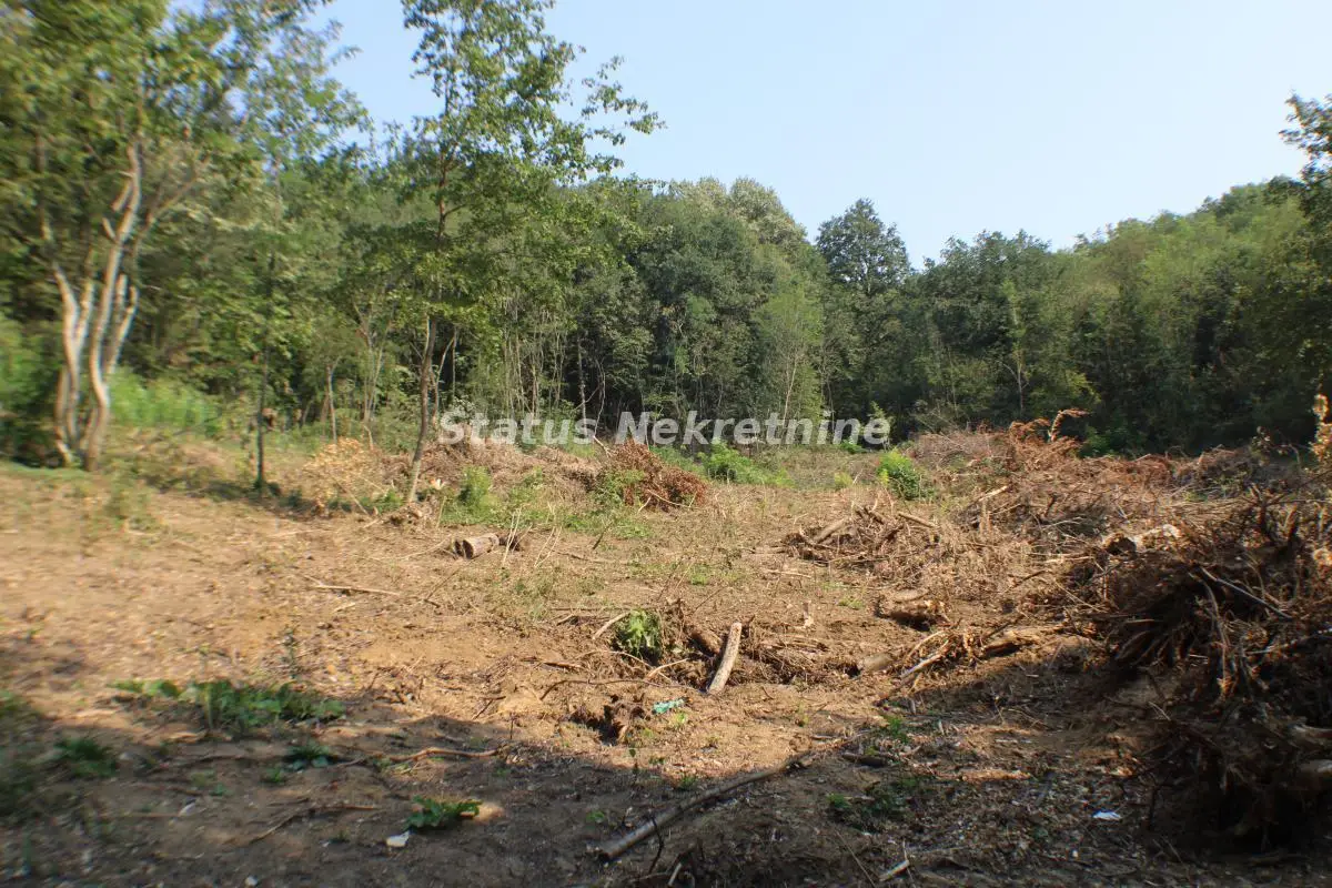 Bočin- agricultural land-Forest-AFFORDABLE