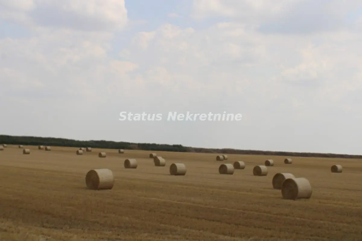 Čenej - building land 24,073m2