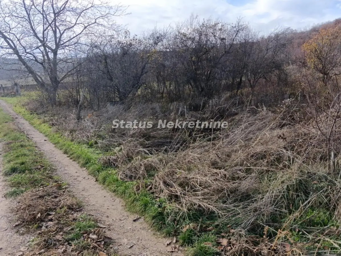 Sremski Karlovci-Sunny Lot 3333 m2 with View for Enjoyment for Select Buyers-065/385 8880