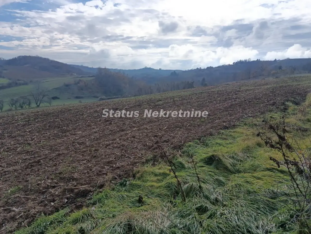 Sremski Karlovci - Sunny Large Plot 3.2 Hectares with View for Enjoyment - 065/385 8880