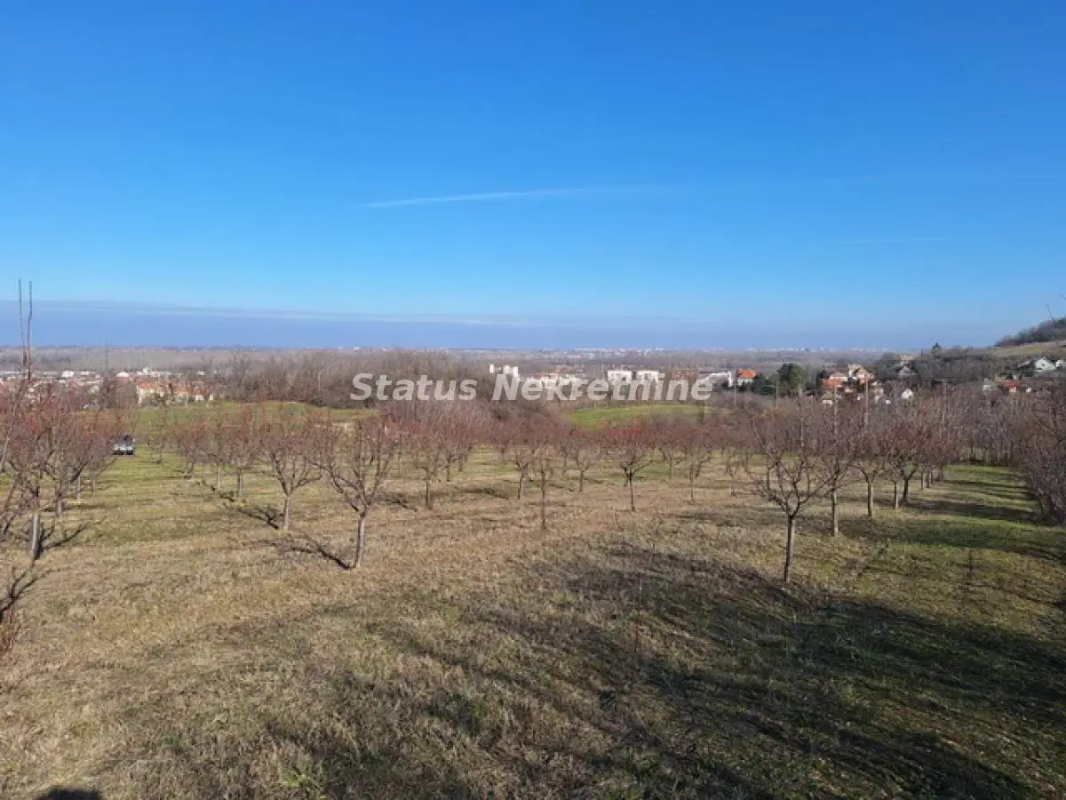 Beočin-Large Plot 7500m2 above the center with a view of Novi Sad-065/385 8880