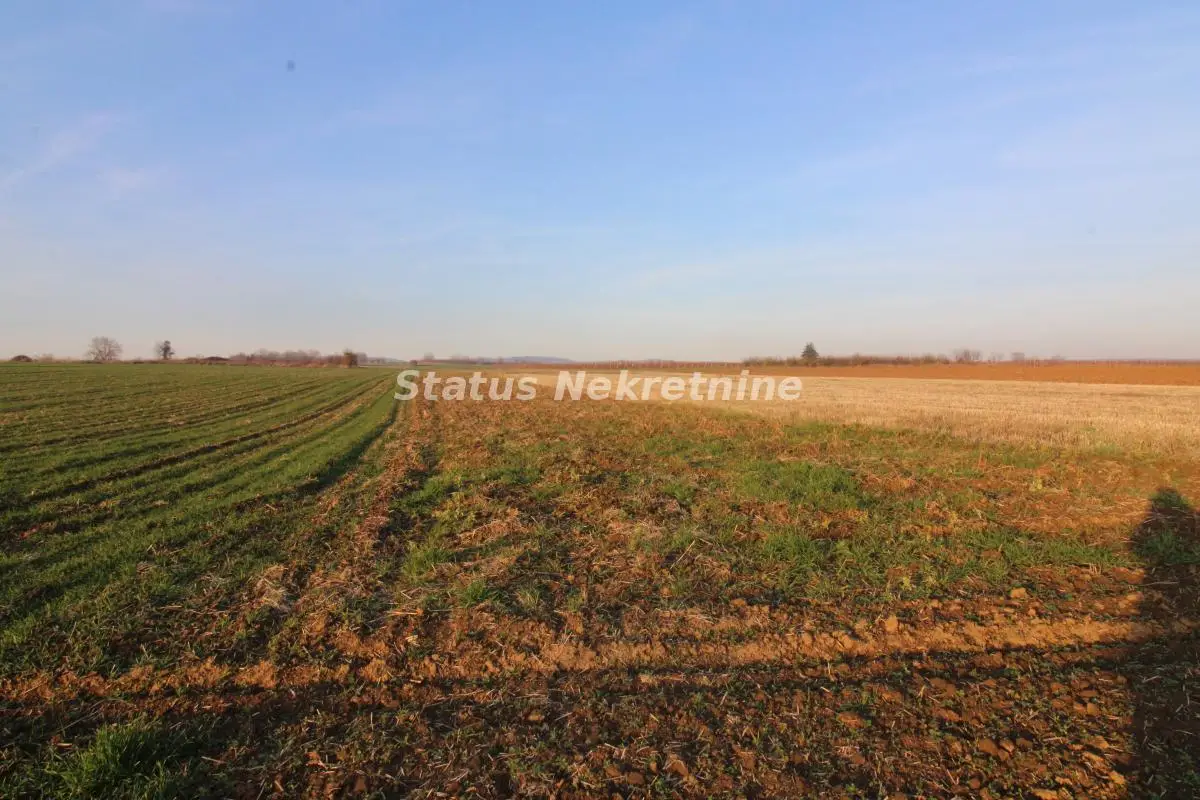 Agricultural land 7700 m2 -0653858888