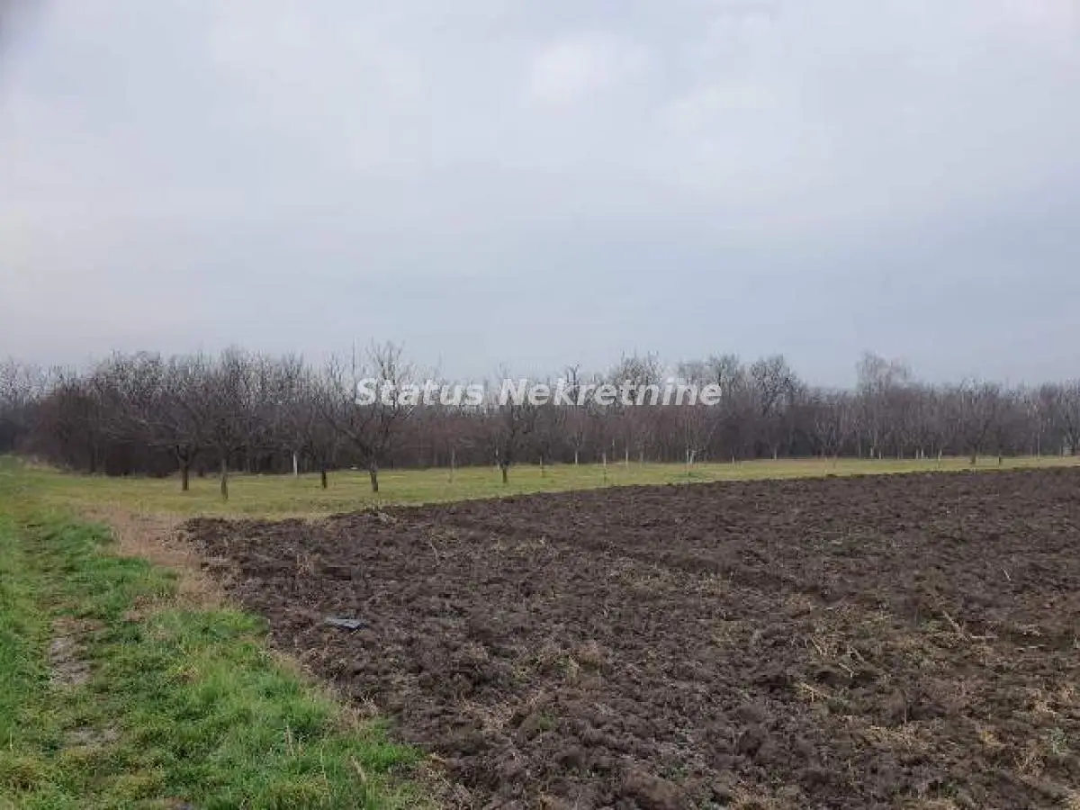 PLOT - BEŠKA