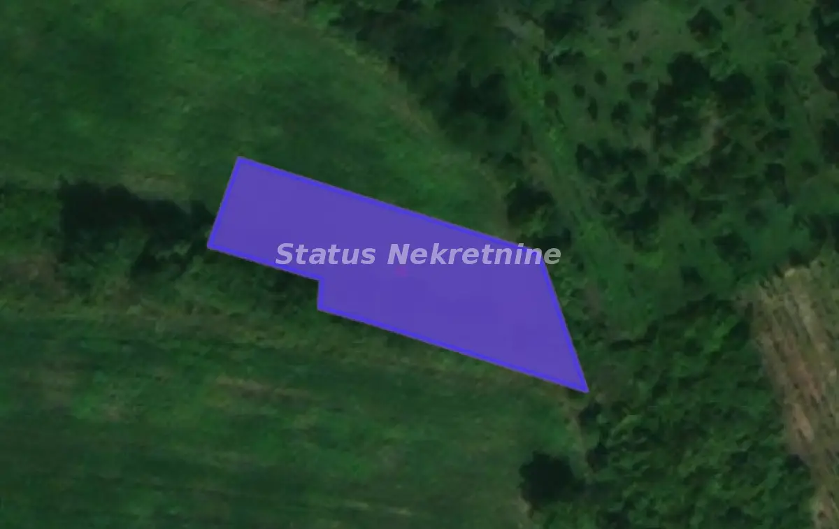 Excellent plot - Alibegovac