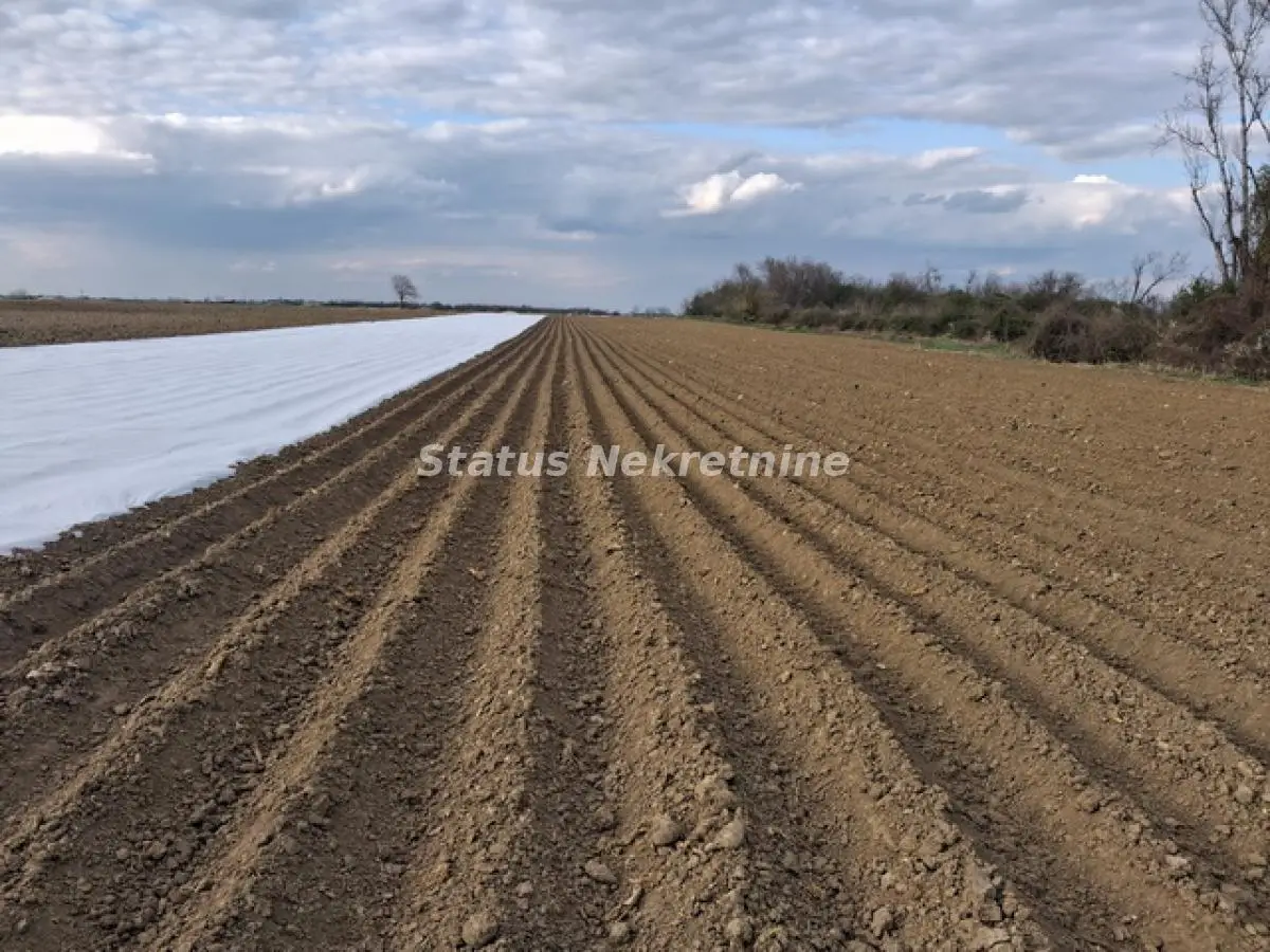 Futog - Building Land 12,700 m2 next to Aroma Factory - 065/385 8880