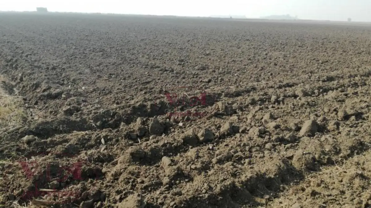 Srbobran, Kipovo, Quality agricultural land of 3.17 ha