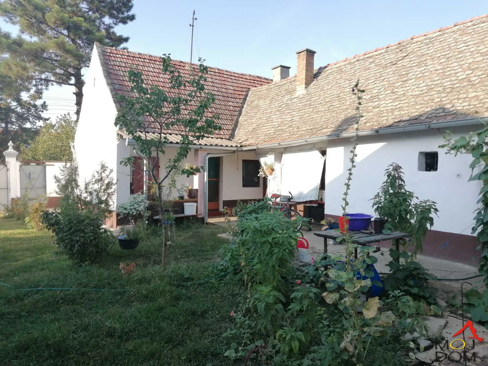 Three-room 'nabijača' house on a large plot in Žabalj.

The house is on a plot of nearly 19 ares, of which 7 ares are the house and yard, while the remaining 12 ares are registered as top-class vineyard.

The plot has a driveway, beautifully arranged dv