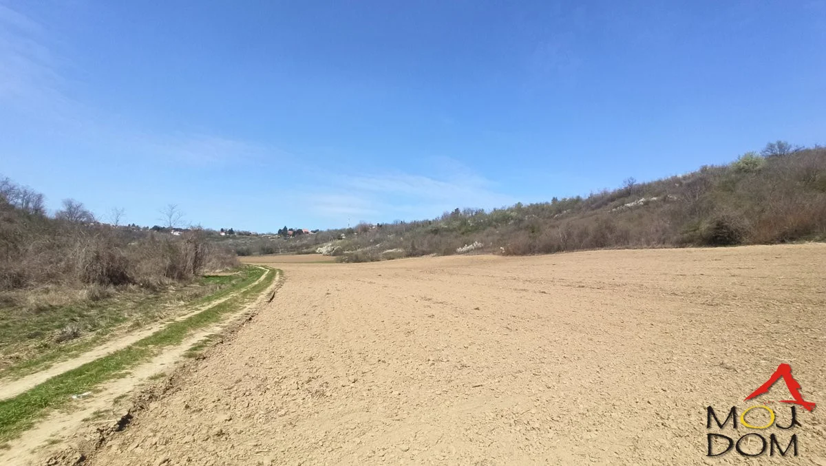 Čortanovci, plot 21,973m2, Jerteniš area, 100m from the main road, turn right at the crossroads for Vila Stanković. The lower part of the plot is arable land, the central part is sloped (there used to be a top-quality vineyard there). The upper part of the plot is for cottages
