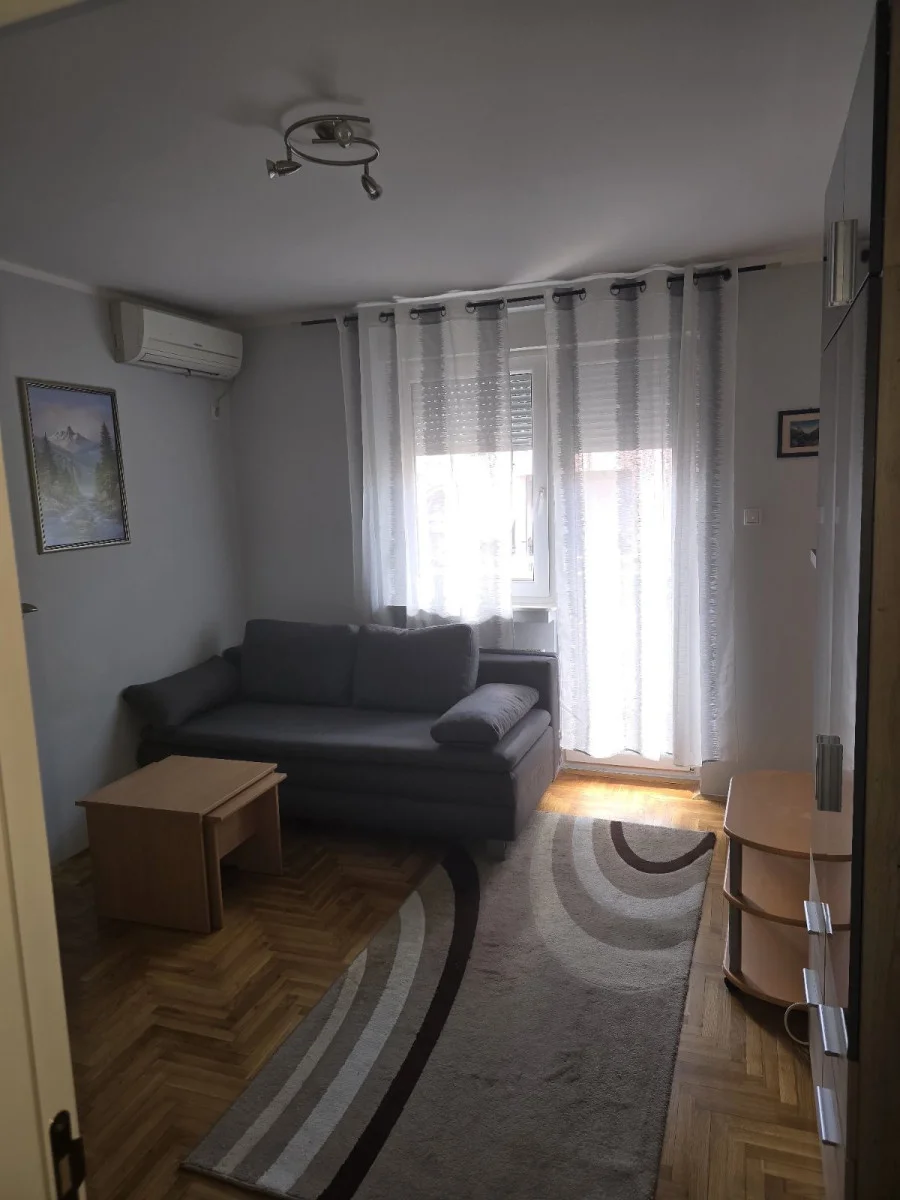 NOVI SAD. BULEVAR. JEDNOSOBAN STAN. ODLIČNA LOKACIJA(Svet nekretnine, Novi Sad, Reg. br. 405)