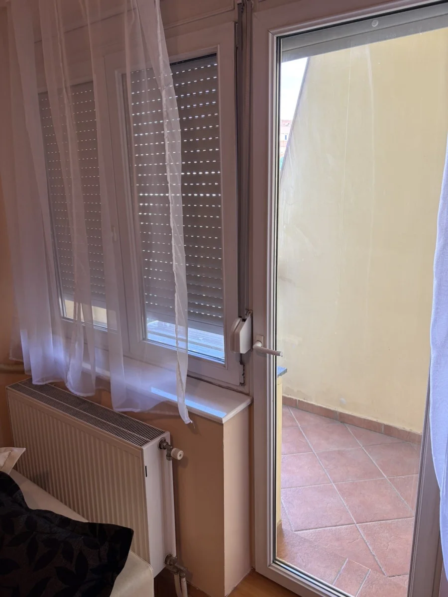 NOVI SAD. GRBAVICA.GARSONJERA. NIJE PET FRIENDLY(Svet nekretnine, Novi Sad, Reg. br. 405)