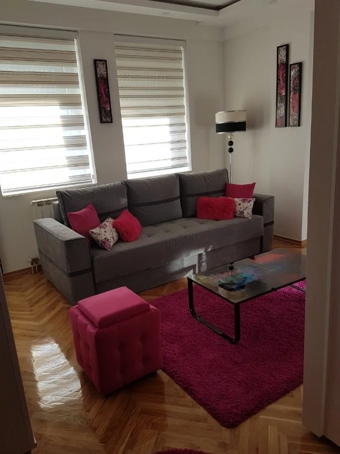 NOVI SAD.BULEVAR.LEP DVOSOBAN STAN.ODMAH USELJIV    (Svet nekretnine, Novi Sad, Reg. br. 405)