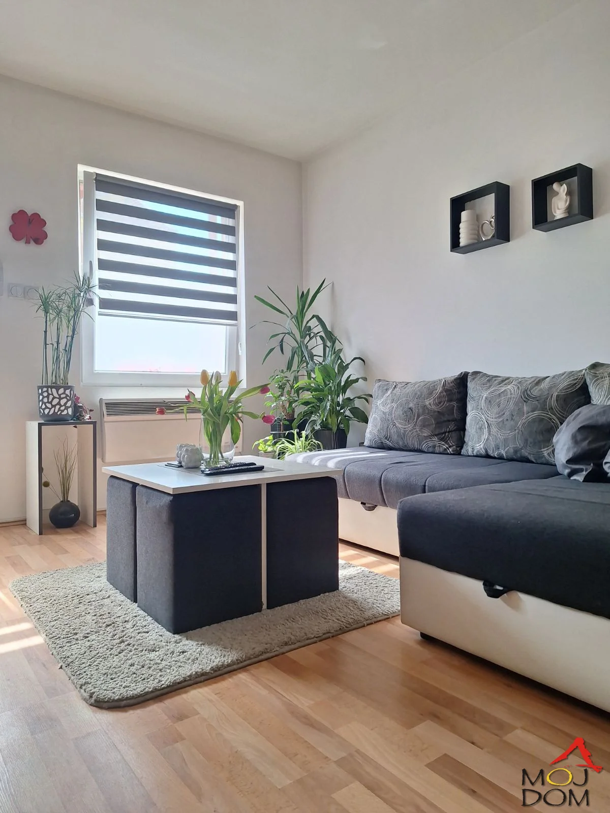 Kompletno namešten duplex 50m² u novijoj zgradi – Telep

Na prodaju moderan duplex stan površine 50 m², smešten na atraktivnoj i mirnoj lokaciji na Telepu. Nekretnina se nalazi u kvalitetnoj zgradi novije gradnje, a poseban osećaj privatnosti