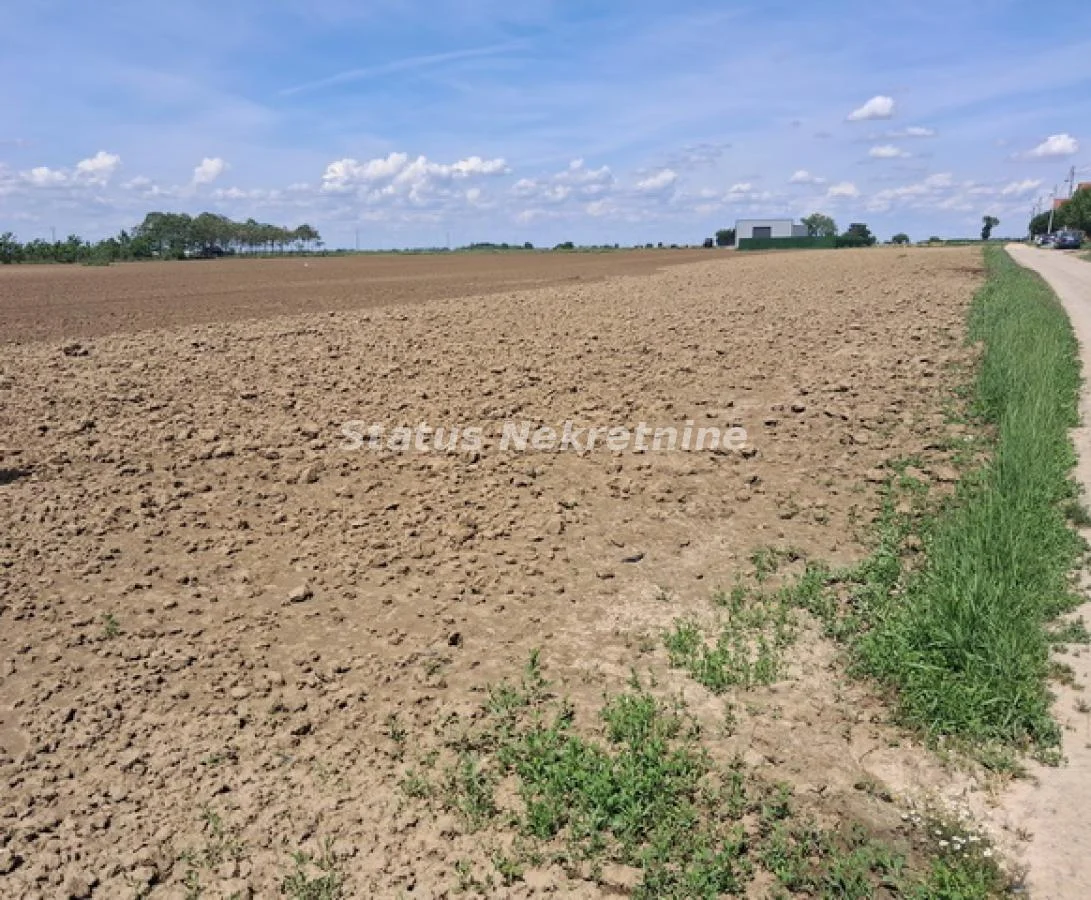 Futog-Odličan Građevinski Plac 738 m2 u Novom Futogu na uglu dve ulice-065/385 8880