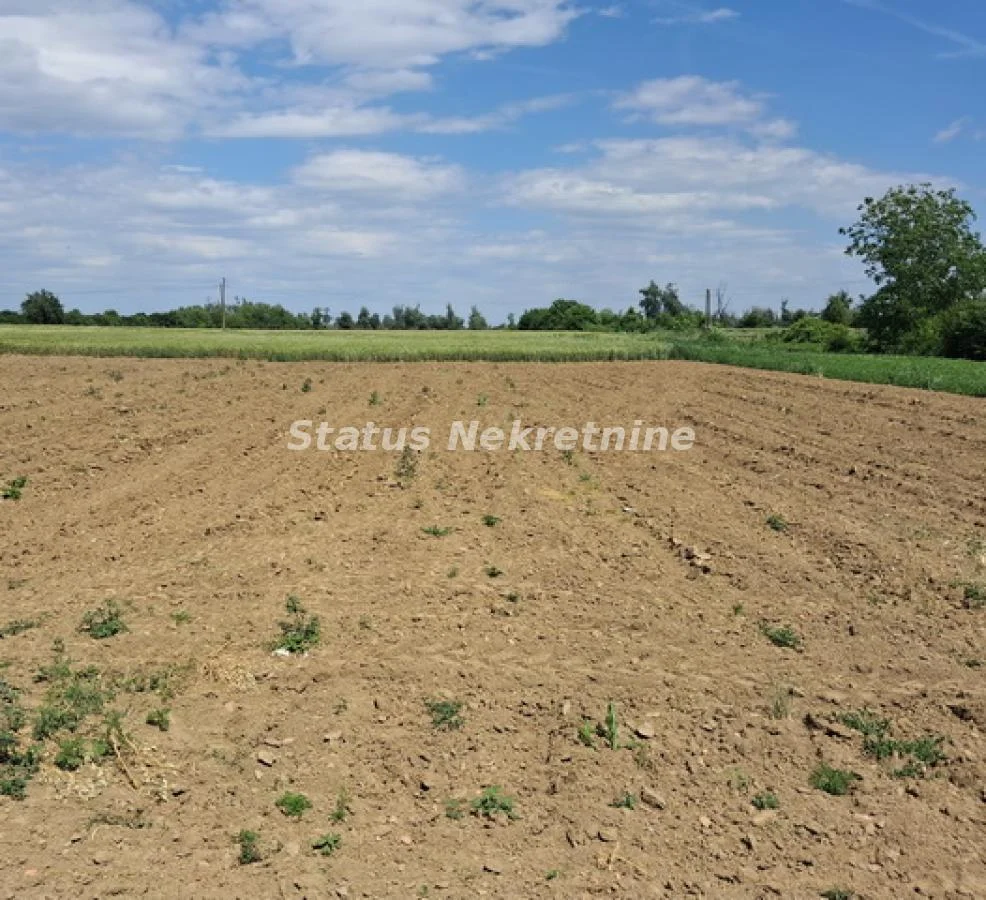 Begeč--Građevinski Plac 720 m2 u mirnom Urbanom kraju blizu Dunavskog šetališta
