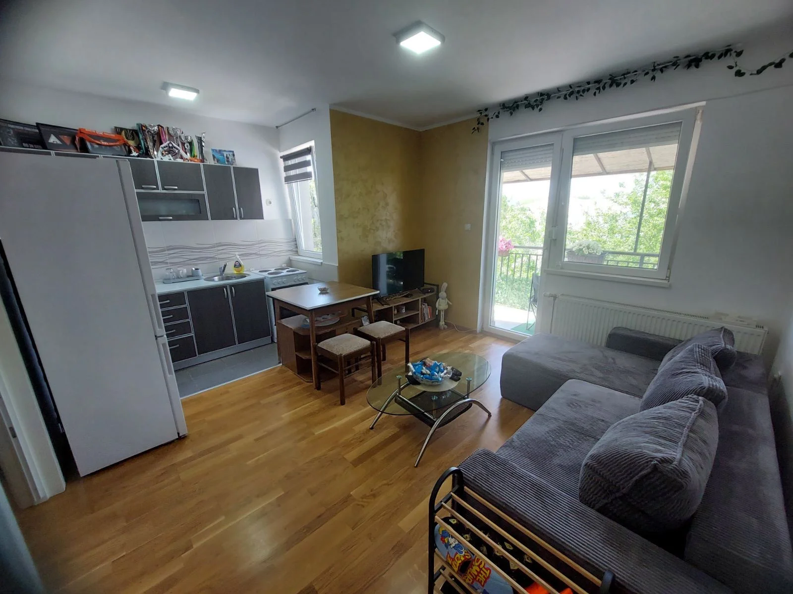 NOVI SAD. ADICE. JEDNOSOBAN STAN.(Svet nekretnine, Novi Sad, Reg. br. 405)