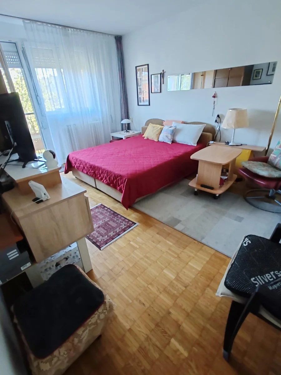 Novi Sad Detelinara. Prodaje se klasičan dvosoban stan od 53m2. Izvanrednog je rasporeda, atan je bez prolaznih soba, a