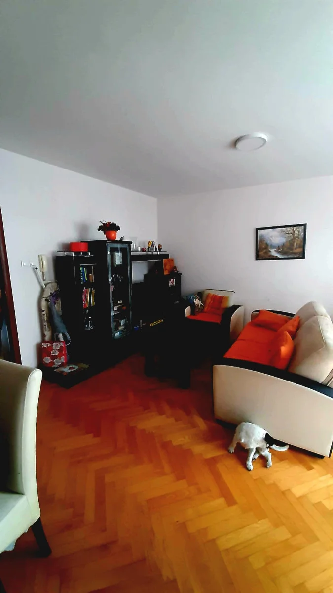 Novi Sad Salajka prodaje se u mirnoj lepoj ulici, odličan, očuvan trosoban stan , komforne dve spavaće sobe, prostran