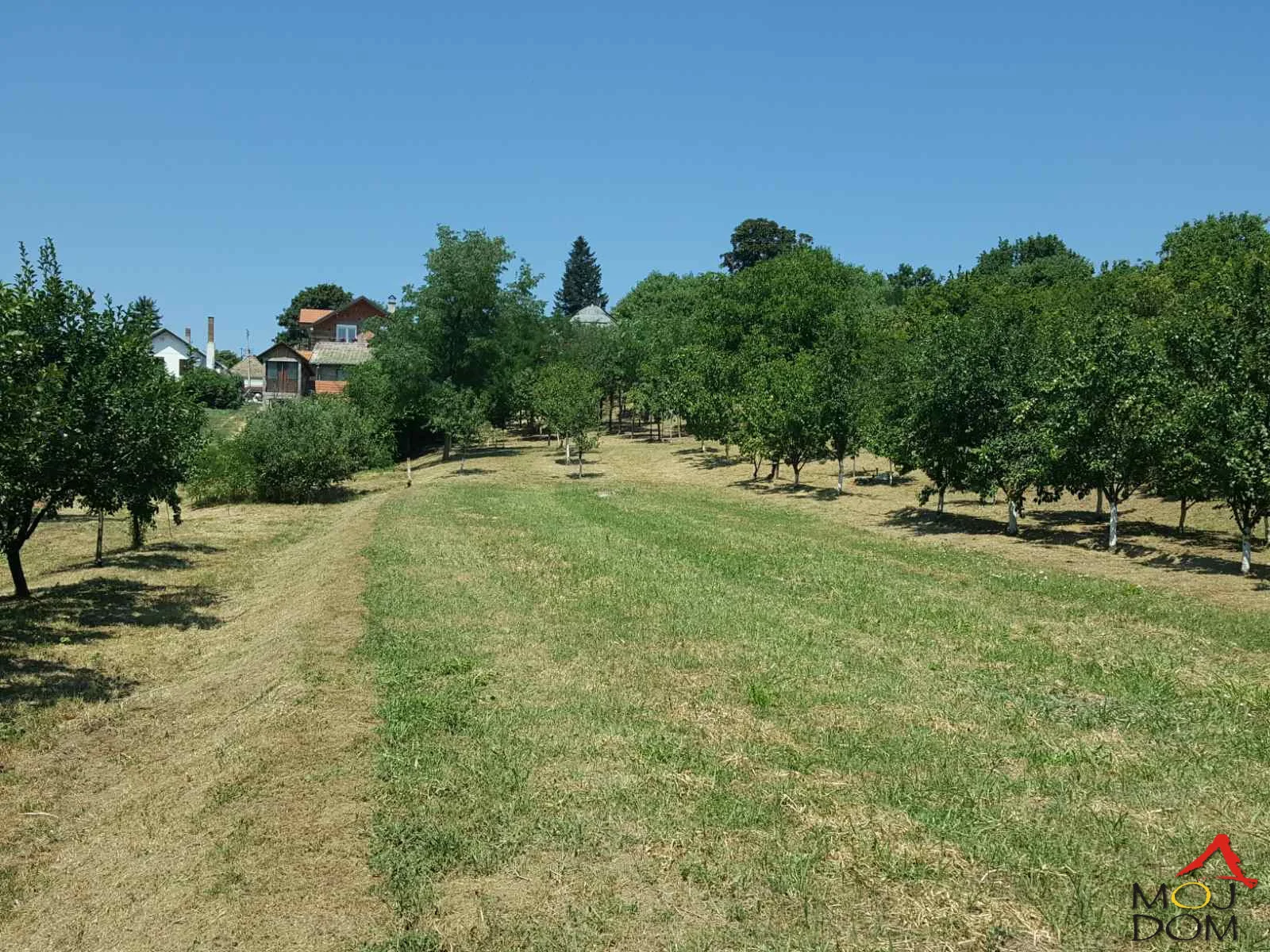 Prodaje se kuća u samom centru Čortanovaca na najdužem placu u selu od 3700m2. Stambeni deo do ulice 65m2, 4 pomoćne prostorije u nizu,podrum 40m2. Pomoćne prostorije od čvrstog materijala. Donji deo placa ravan. Veliki voćnjak u punom rodu (?