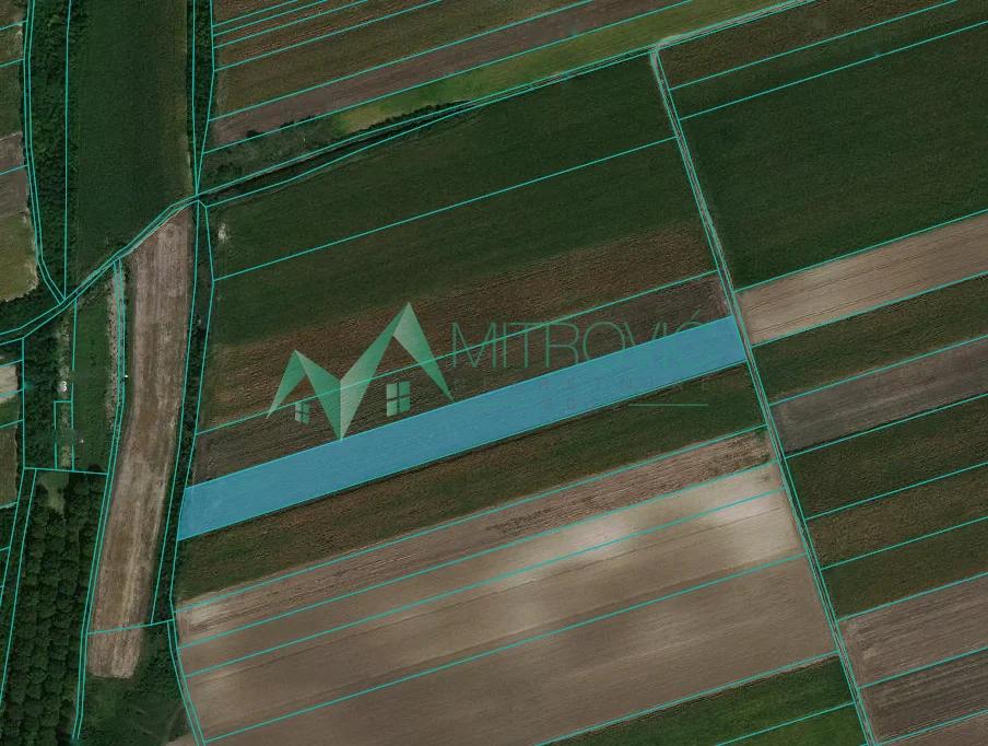 POLJOPRIVREDNO ZEMLJIŠTE 10.000 m² – ODLIČNA INVESTICIJA