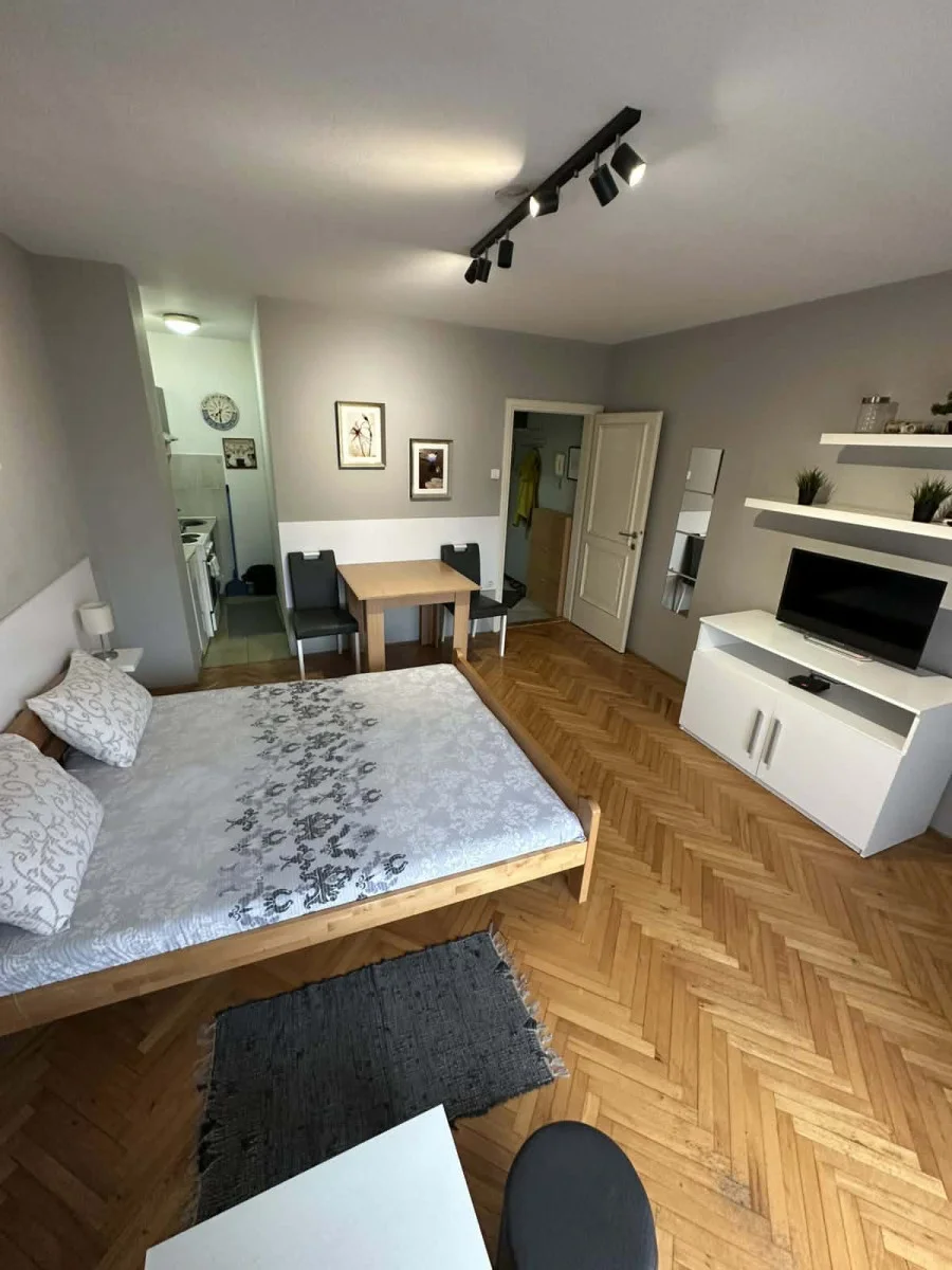 NOVI SAD. CENTAR. GARSONJERA.KOMPLETNO NAMEŠTEN STAN.STAN ORIJENTISAN KA ISTOKU.(Svet nekretnine, Novi Sad, Reg. br. 40