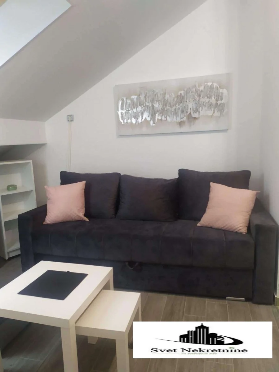 NOVI SAD. CENTAR. GARSONJERA(Svet nekretnine, Novi Sad, Reg. br. 405)