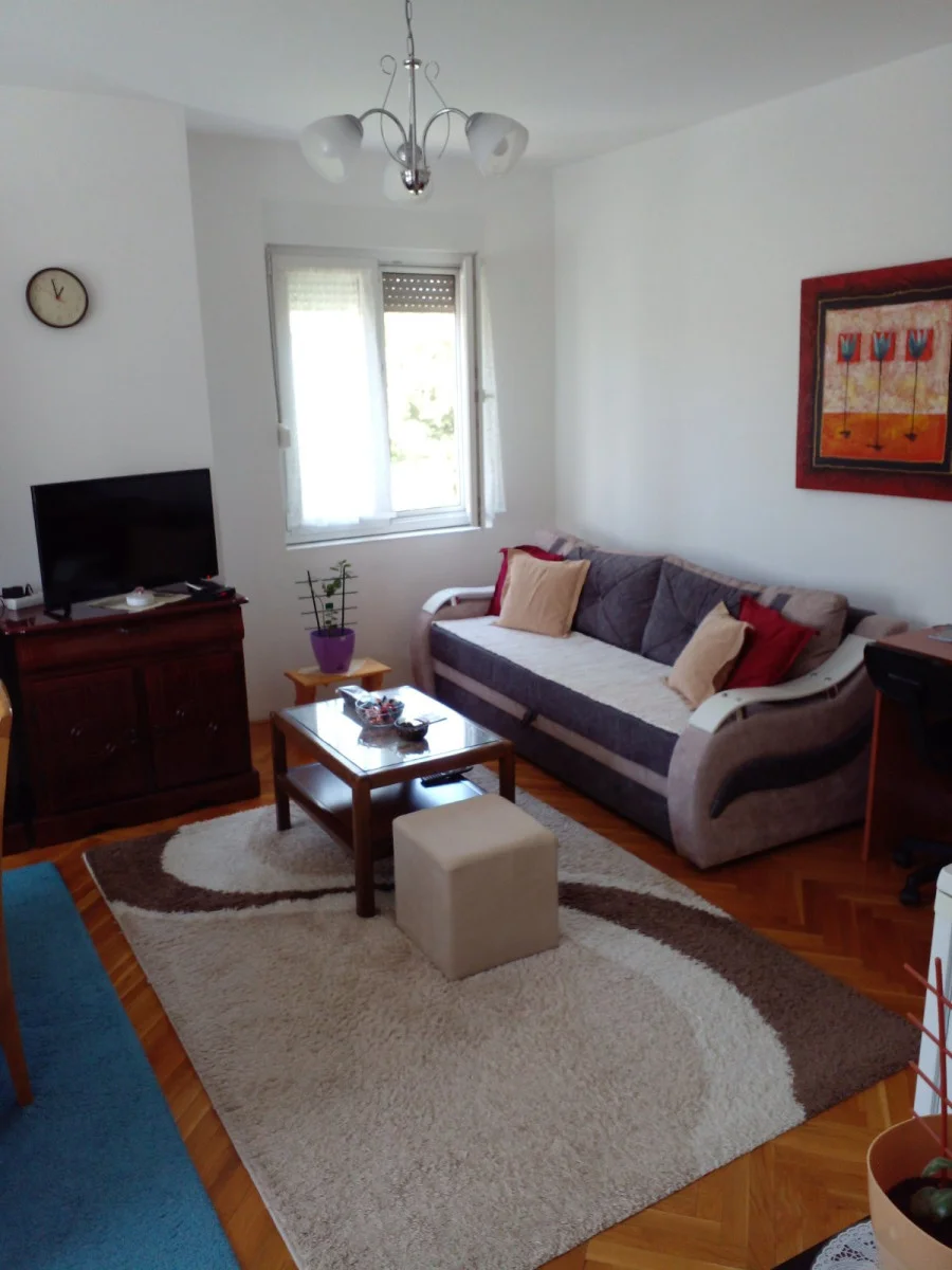 NOVI SAD,DETELINARA,DVOSOBAN STAN    (Svet nekretnine, Novi Sad, Reg. br. 405)