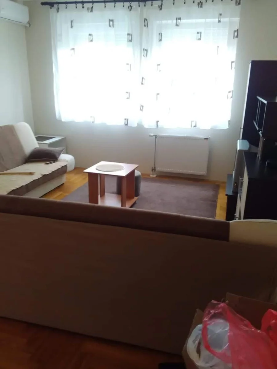 NOVI SAD. BULEVAR PATRIJARHA PAVLA. NIJE PET FRIENDLY. PUŠENJE NIJE DOZVOLJENO U STANU.SLOBODAN STAN OD 15 AVGUSTA.(Sve