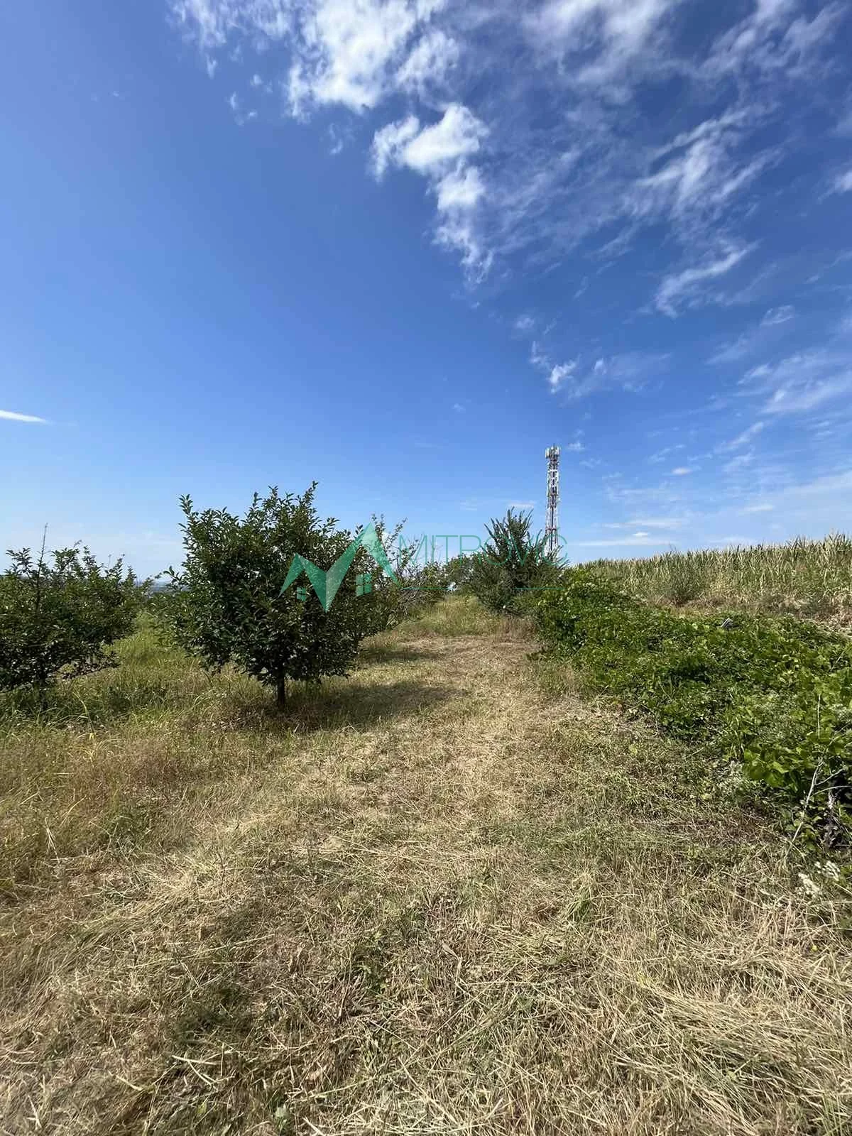 7000177 PRODAJA DELA PARCELE – SREMSKI KARLOVCI | 1.100 m² 